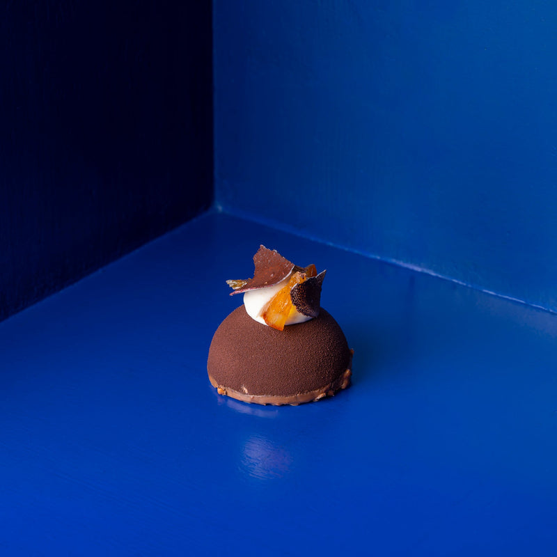 winter chocolate dessert, blood orange dessert, citrus chocolate cake, gourmet winter sweets, holiday dessert, festive chocolate pastry, handcrafted winter specialty