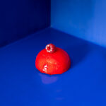 Charlotte-framboises-individuelle-scaled