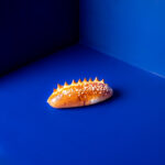 Pain-au-lait-scaled