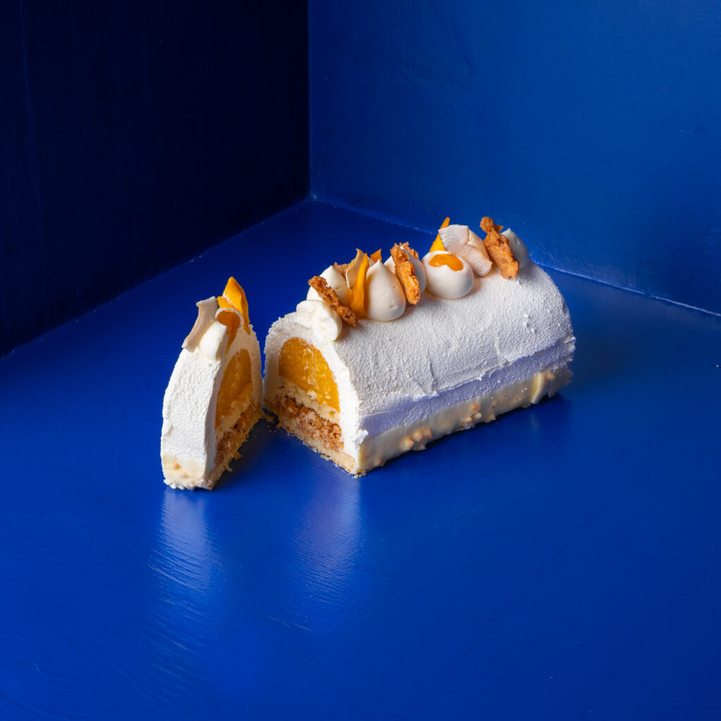 exotic Yule log, tropical Yule log cake, mango passion fruit Yule log, coconut Yule log, Christmas cake, holiday dessert, festive bûche de Noël, winter exotic dessert